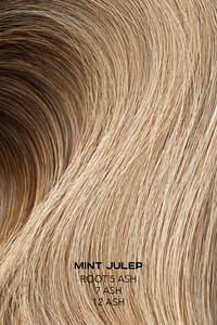 Mint Julep - Redefined